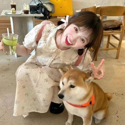 怪妳过分美丽